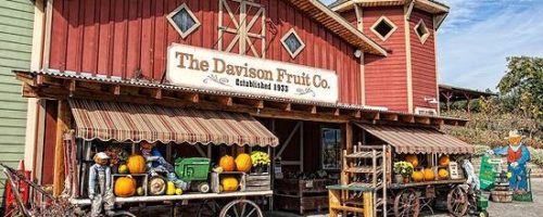 Davison Orchards Country Village